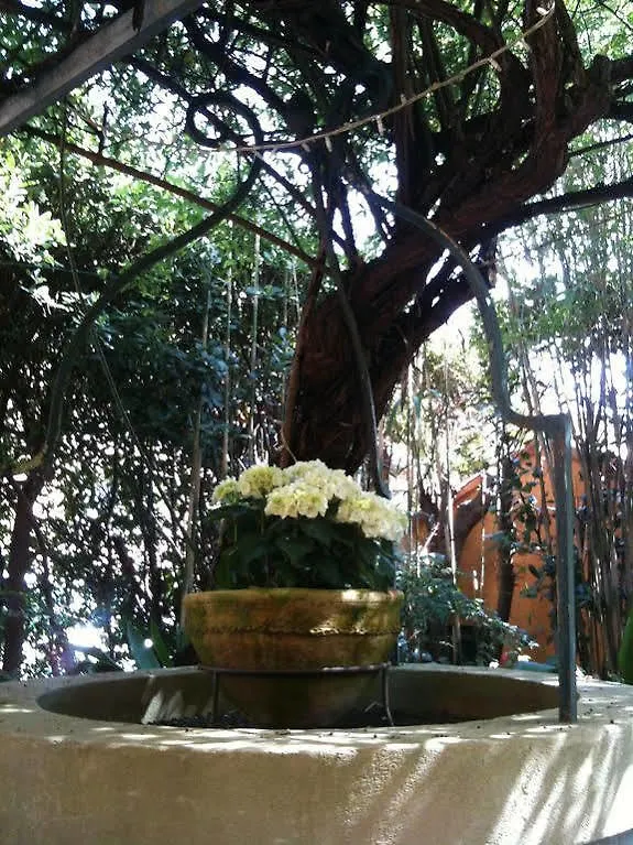 Hotel La Petite Boheme Le Lavandou